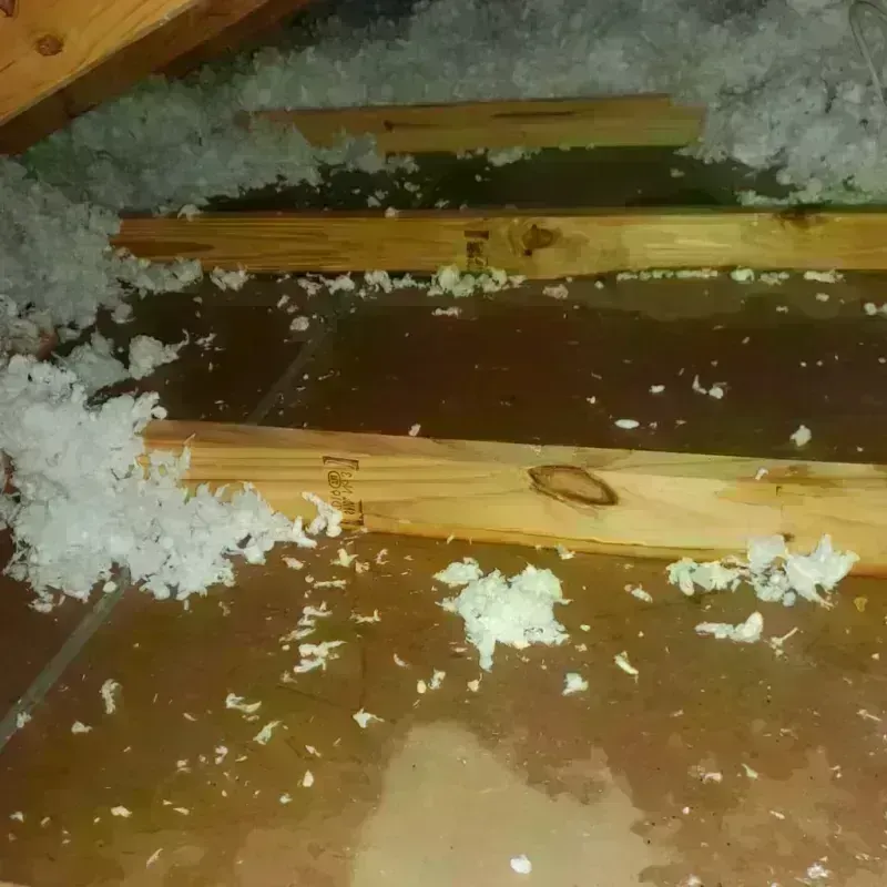 Attic Water Damage in Port Hueneme, CA